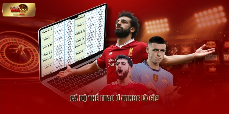 WIN88 Là Gì - Tất Tần Tật Thông Tin Về Nhà Cái WIN88 2 Cá độ thể thao ở WIN88 là gì?