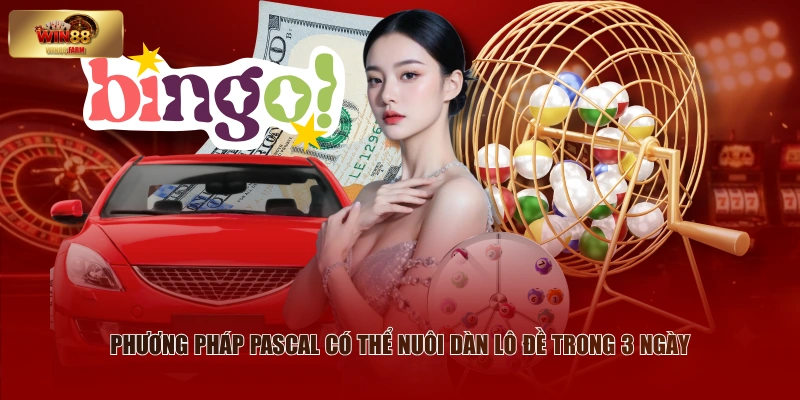 Đề Về 66 Hôm Sau Đánh Con Gì? Cao Thủ WIN88 Mách Bạn 3 Phương pháp pascal có thể nuôi dàn lô đề trong 3 ngày